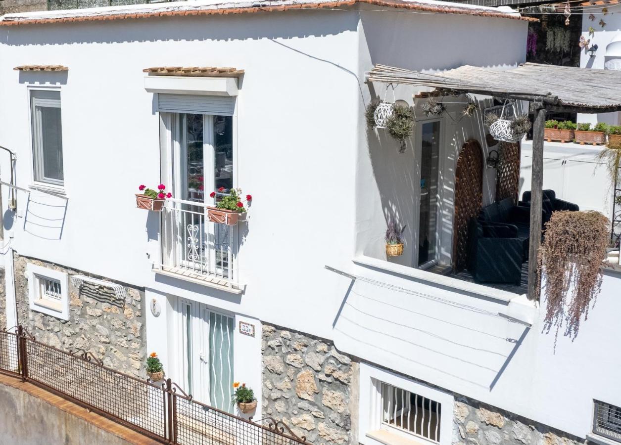 Appartement La Necussella à Anacapri  Extérieur photo