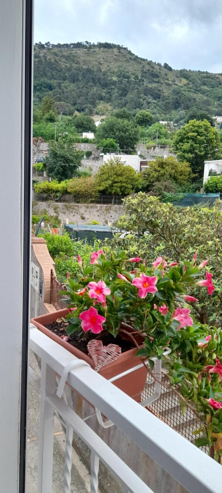 Appartement La Necussella à Anacapri  Chambre photo