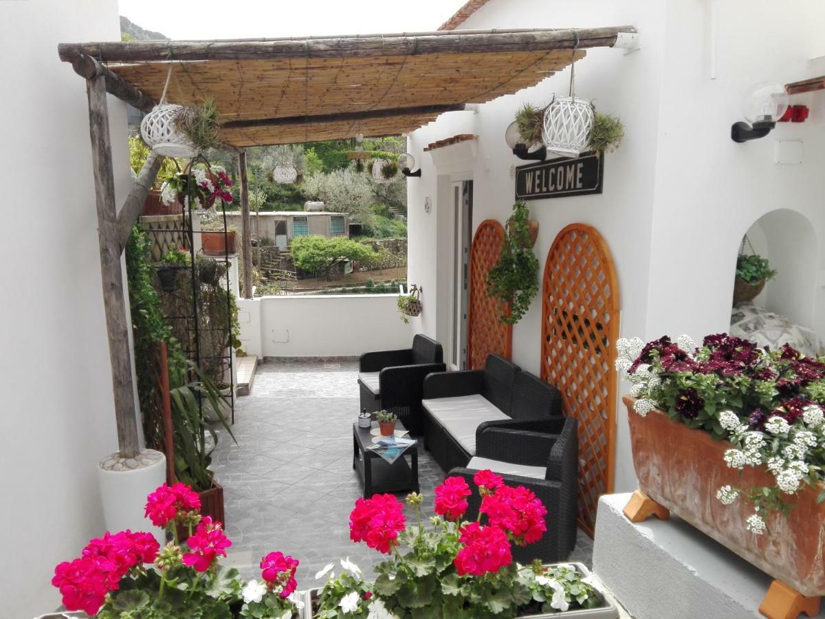 Appartement La Necussella à Anacapri  Extérieur photo